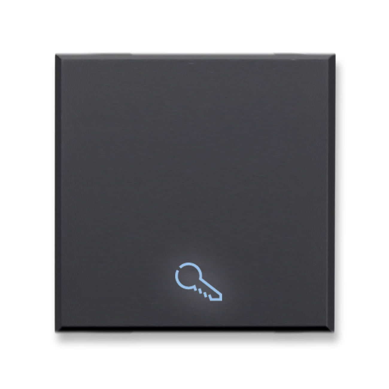 AVE - Tasto simbolo Chiave Tekla S44. colore grigio Tekla  finitura opaca  2 Mod. 445TKP/2