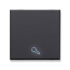 AVE - Tasto simbolo Chiave Tekla S44. colore grigio Tekla  finitura opaca  2 Mod. 445TKP/2