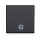 AVE - Tasto simbolo Lampada Tekla S44. colore grigio Tekla finitura opaca 2 Mod. 445TLP/2