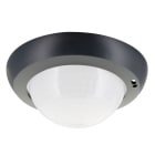 BEG - Accessori lente PD4N anello antracite.