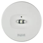 BEGHELLI - Faretto per illuminazione di emergenza ad elevate prestazioni con tre lenti intercambiabili in dotazione per differenti fasci luminosi LLARG DWRC CT 24W SA LF.