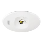 BEGHELLI - Faretto per illuminazione di emergenza ad elevate prestazioni con tre lenti intercambiabili in dotazione per differenti fasci luminosi LLARG DWRC CT 24W GL SA LF. 19339