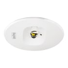 BEGHELLI - Faretto per illuminazione di emergenza ad elevate prestazioni con tre lenti intercambiabili in dotazione per differenti fasci luminosi LLARG DWRC CT 24W GL SA LF.