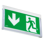 BEGHELLI - Plexiled MF 30M HT - Striscia LED flessibile per illuminazione interna ed esterna, resistente all'umidità e alle alte temperature.