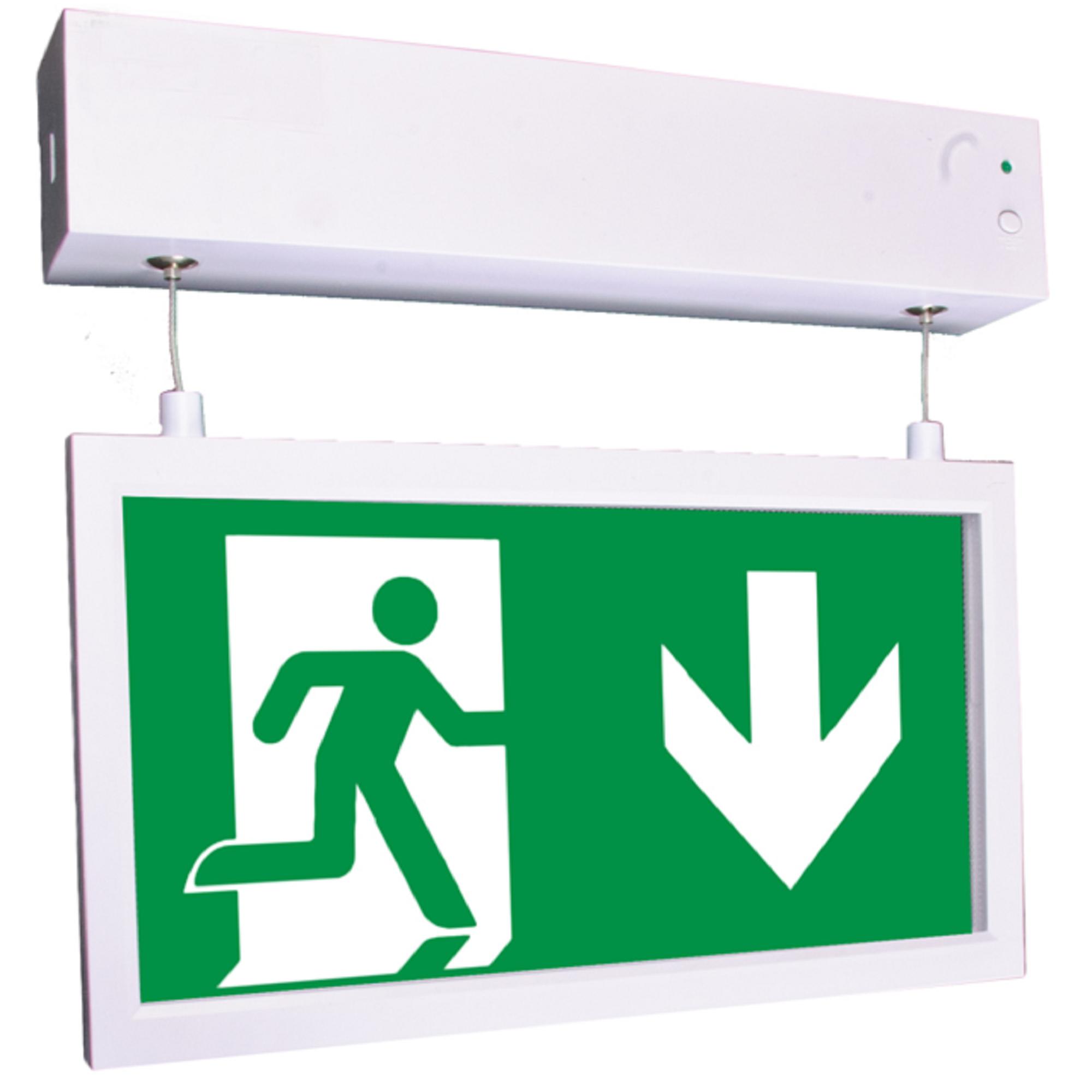 BEGHELLI - PianaLED 30M LG EPS DALI SP SP - 30 metri di striscia LED con controllo DALI per illuminazione personalizzata.