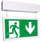 BEGHELLI - PianaLED 24M HT SP - Illuminazione LED per ambienti interni ed esterni, resistente e di alta qualità.