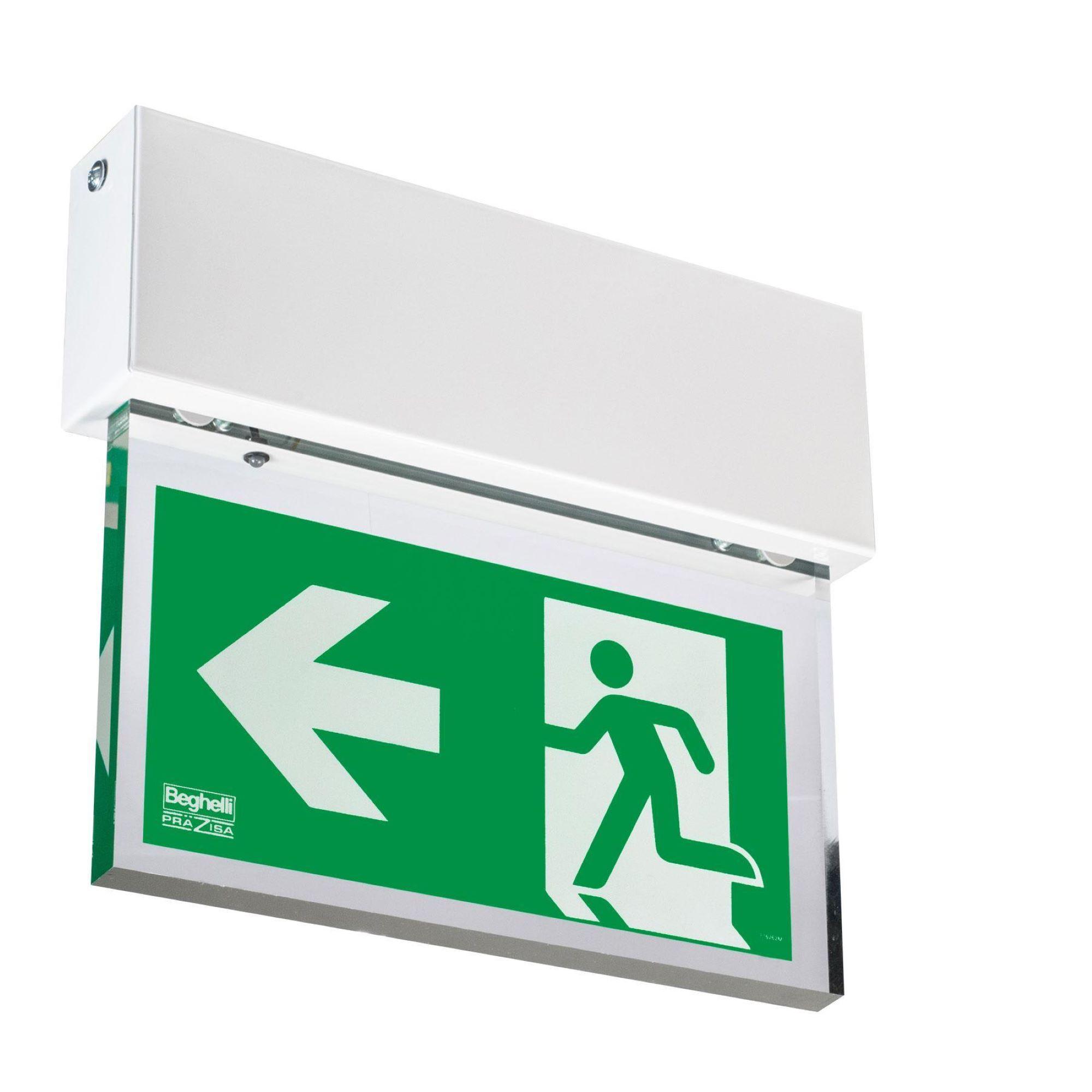 BEGHELLI - Segnaletica di sicurezza a bandiera Disposevo 22M LG EPS DALI W/C con struttura in acciaio e PMMA ad elevato spessore.