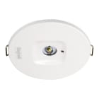 BEGHELLI - Faretto per illuminazione di emergenza ad elevate prestazioni con tre lenti intercambiabili in dotazione per differenti fasci luminosi MULTI LENS LGS24 LS-UV. 32127
