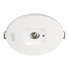 BEGHELLI - Faretto per illuminazione di emergenza ad elevate prestazioni con tre lenti intercambiabili in dotazione per differenti fasci luminosi MULTI LENS LGS24 LS-UV. 32127