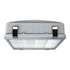 BEGHELLI - Riflettore industriale ad elevato flusso luminoso con corpo in alluminio pressofuso e schermo in vetro temprato, idoneo per installazioni ad altezze elevate RIF S 240W C SD 4K.