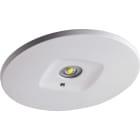 BEGHELLI - Faretto illuminazione emergenza elevate prestazioni tre lenti intercambiabili differenti fasci luminosi MULTI LENS 60MM SE 1H RM.