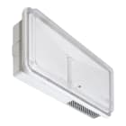 BEGHELLI - Apparecchio di emergenza stagno IP65 particolarmente robusto con lente a tecnologia RTI PRATICA IP65 500L 1.5/3 SA TR.