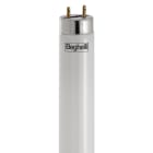 BEGHELLI - Tubo T8 per riconversione a LED delle plafoniere fluo, con intervento tecnico per altissimo risparmio energetico. T8 ECOLED STD 1200MM G1318W840.