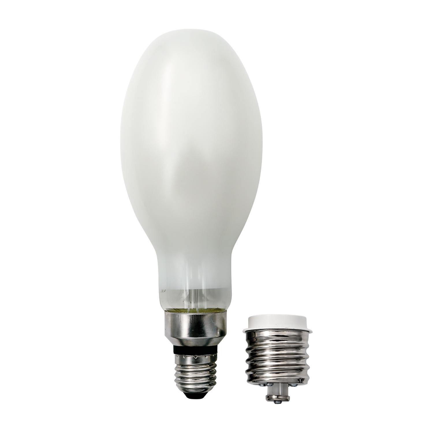 BEGHELLI - Lampadina vetro LED a filamento ZAF ED75 2800lm 22W 3K. 56499