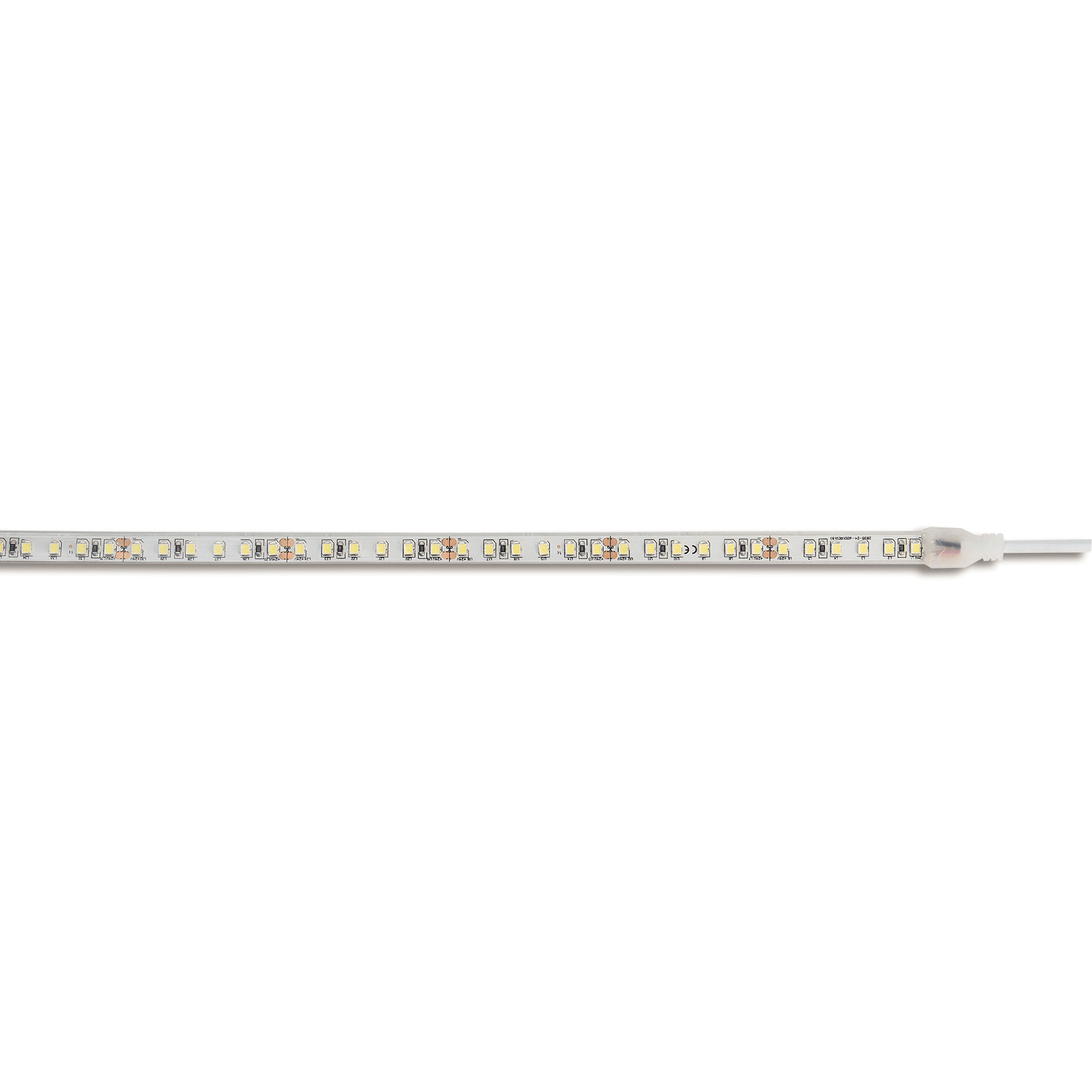 BEGHELLI - Strisce flessibili a LED autoadesive professionali ad alta densità di LED (120 per metro) per una ottima uniformità luminosa, in rotoli da 5 metri già pre-cablati. Strip LED HS 14W IP65 6K5.