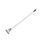 BEGHELLI - Kit 5 connettori a filo strip to driver per StripLED 24V CONN STRIP TO DRIVER 5PZ.
