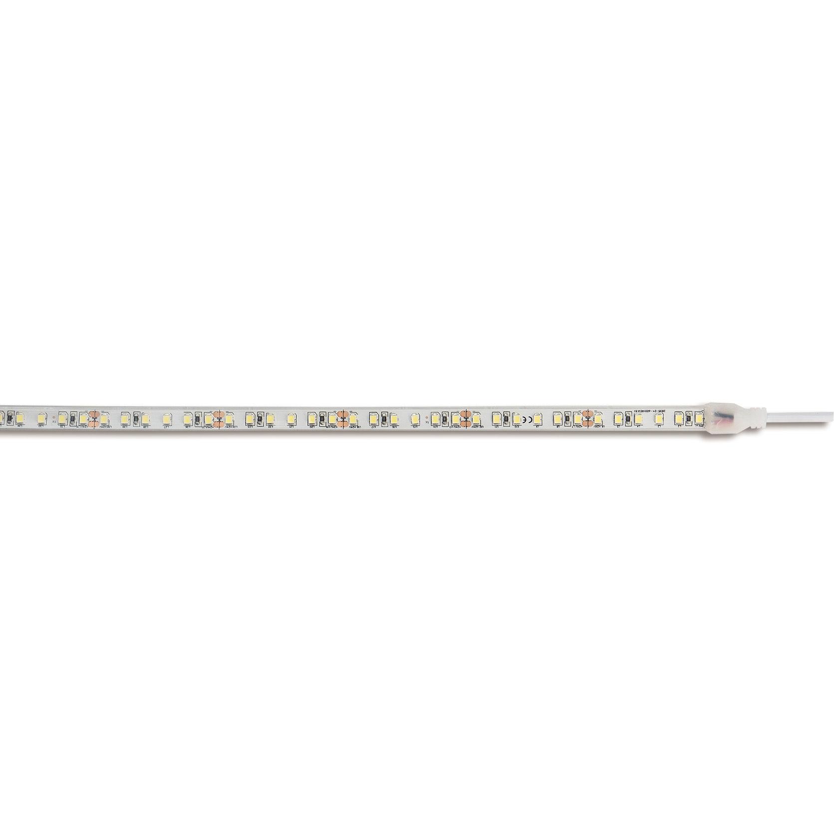 BEGHELLI - Strisce flessibili a LED autoadesive ad alta densità (240 LED/m) con emissione uniforme e alta luminosità, rotoli da 5 metri pre-cablati su entrambi i lati. Strip LED HP 18W IP65 3K.