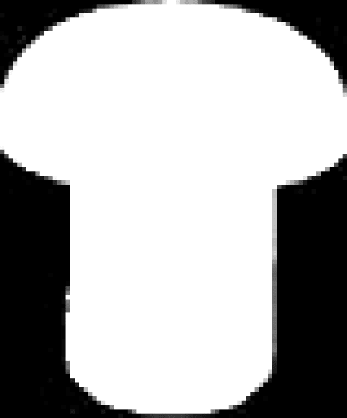 SOMFY - PRV 40.A76 VITE X PROF TRAV M6X8TB 500PZ 2613110