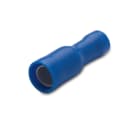 BM - SPINOTTO CILIND ISOL FEMM 2,5 D 4