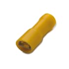 BM - PRESA LAM FEMM TUTTA IS 6 6,3X0,8