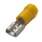 BM - PRESA LAM FEMM ISOL 6 9,8X1