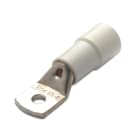 BM - TERM TUBO ISOL 50 F 10