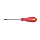 BM - CACCIAVITE PUNTA TORX T9 1182
