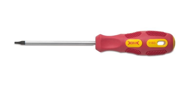 BM - CACCIAVITE PUNTA TORX T10