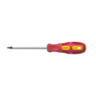 BM - CACCIAVITE PUNTA TORX T10