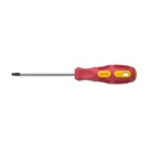 BM - CACCIAVITE PUNTA TORX T20