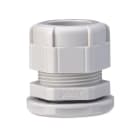 BM - PRESS NY IP68 CON DADO PG 48