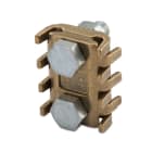 BM - PETTINI 16-22 2 BULL