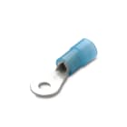 BM - TERM IS NYLON OCC 2,5 F 6
