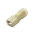 BM - PRESA LAM FEM TUTTA IS NY 6 6,3X0,8 80392