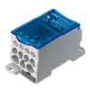 Miniatura Immagine principale 1