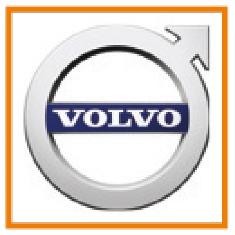 BETA - Leva per il tensionamento delle cinghie dei servizi montate su motori Volvo, leve di tensione cinghie Volvo.