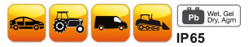 BETA - Caricabatterie elettronico 12V auto-veicoli commerciali, carica batterie 12V auto 8A, ideale per mantenere la carica ottimale delle batterie dei tuoi veicoli. 014980108