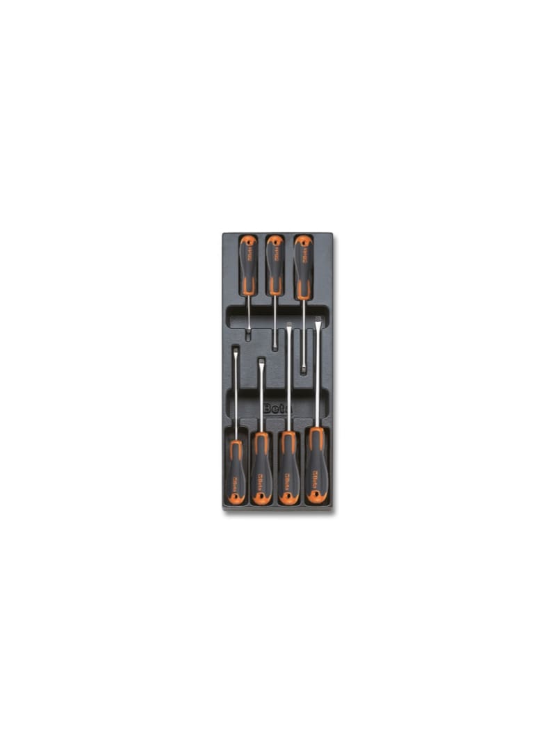 BETA - Termoformato T170 vuoto, termoformati vuoti 1/4 TV170, ideali per organizzare e proteggere strumenti.