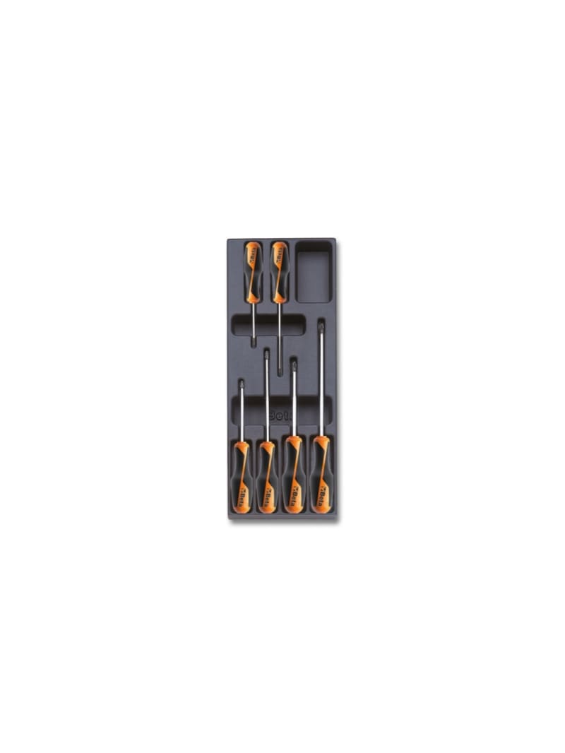 BETA - Termoformato rigido in ABS giraviti Beta Grip per viti con impronta Phillips® assortiti T202 6UT.