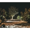 Miniatura Immagine ambientale 3