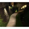 Miniatura Immagine ambientale 3