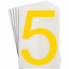 Miniatura Immagine principale 2