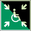 Miniatura Immagine principale 1