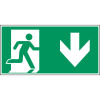Miniatura Immagine principale 1