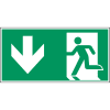 Miniatura Immagine principale 1