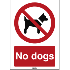 BRADY - Segnale di sicurezza ISO - Vietato l'accesso ai cani 210x297mm - 1 pezzo.