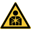 Miniatura Immagine principale 1