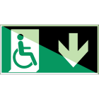 BRADY - E/E030/A180/NT-PP-PHOLUMB-210X - 1 SEGNA