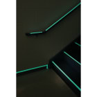 BRADY - PHOLUM C TAPE 50MMX1M - 1 ROTOLO