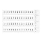 BRADY - Targhetta 4x12 4 steli bianco - 2048 tag.